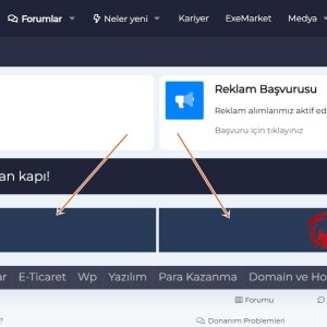 Forum İstatistik Üstü.jpg