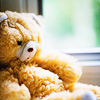 TeddyBear05.png