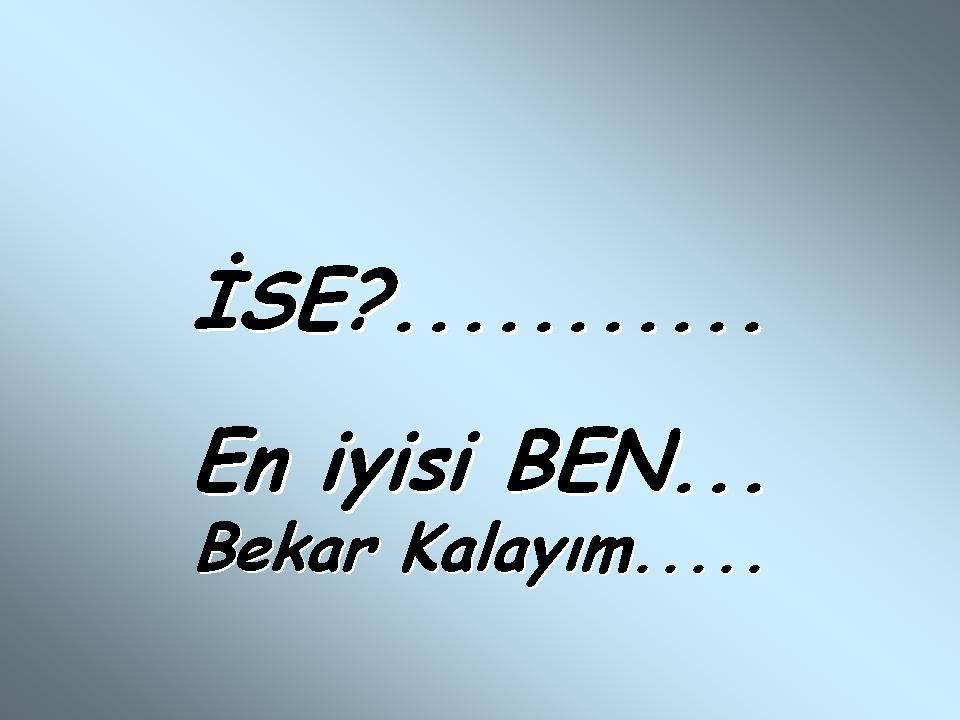13jx5.jpg