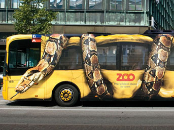 otobus-piton.jpg