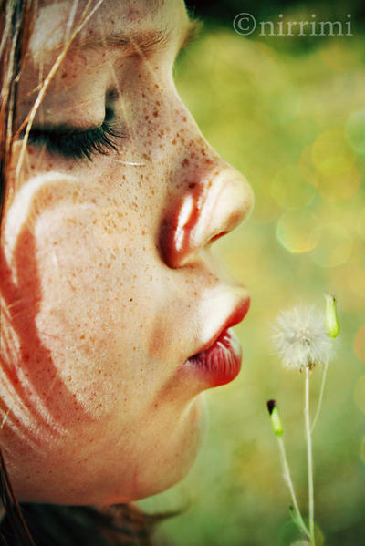 wish_into_the_wind__by_Pretty_As_A_Picture.jpg