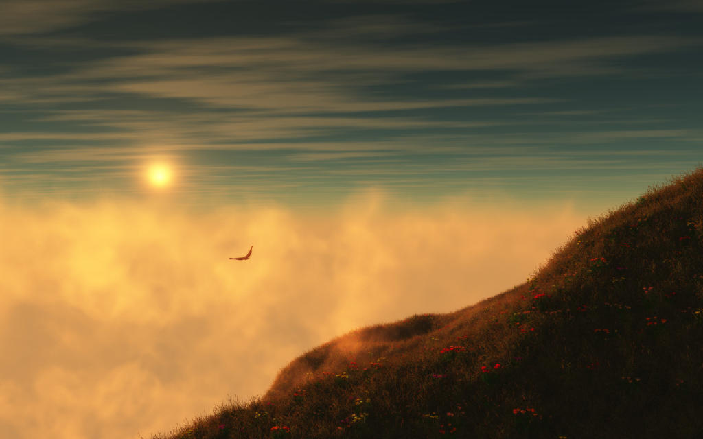 In_Flight_wide_by_relhom.jpg