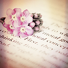 20100710_20.png