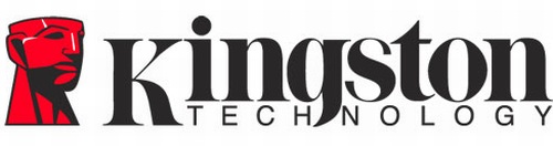 kingston_100milyondolar_hynix_dh_fx57.jpg