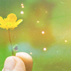 hope1.png