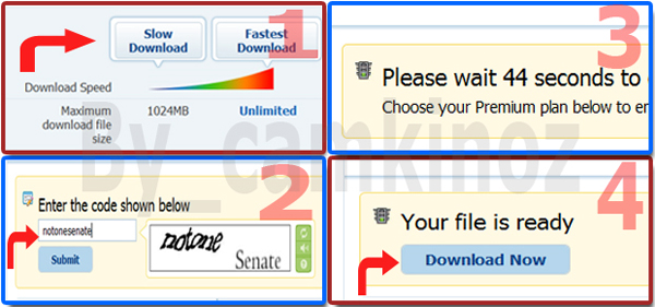 filejungle.jpg
