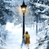 icon4.gif