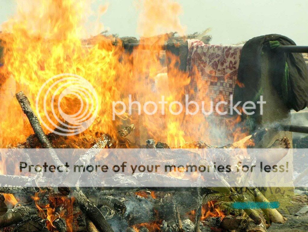 58880.jpg