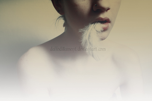 Where__s_my_bird__II_by_DaffodilLament.jpg