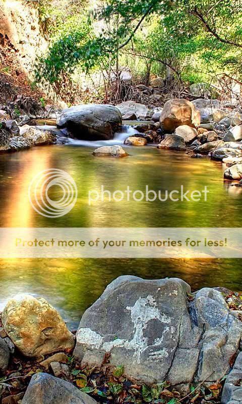 9720bb83-6cb3-4ed0-89ba-83f14baa1c3f_1.jpg