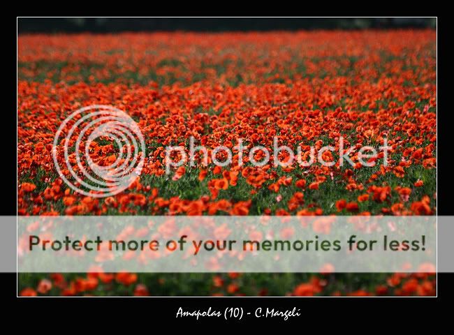 5838289-lg.jpg