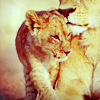 avlionss00.png