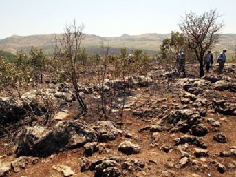 sehit-silvanpusu.jpg