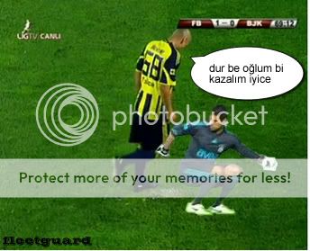 bilivolki.jpg