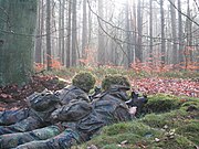 180px-Alarmposten1.jpg