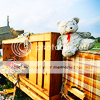 TeddyBear02.png