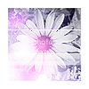 stock12.png