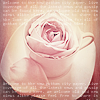 20100710_17.png