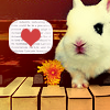 rabbit1.png