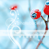 botanicalstills37_001b.png