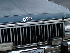 97662.jpg