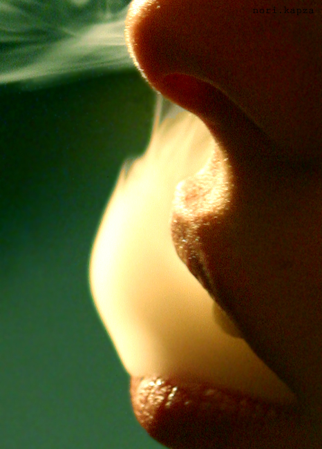 smoke____is_in_the_air_by_endraum.jpg