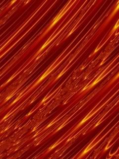 732812-41894.jpg