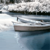 6.gif