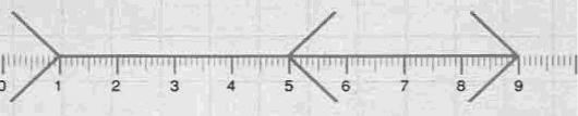 Lineal_02.gif