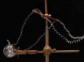 xray-bulus.jpg