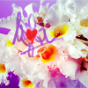 20081204_006b.png